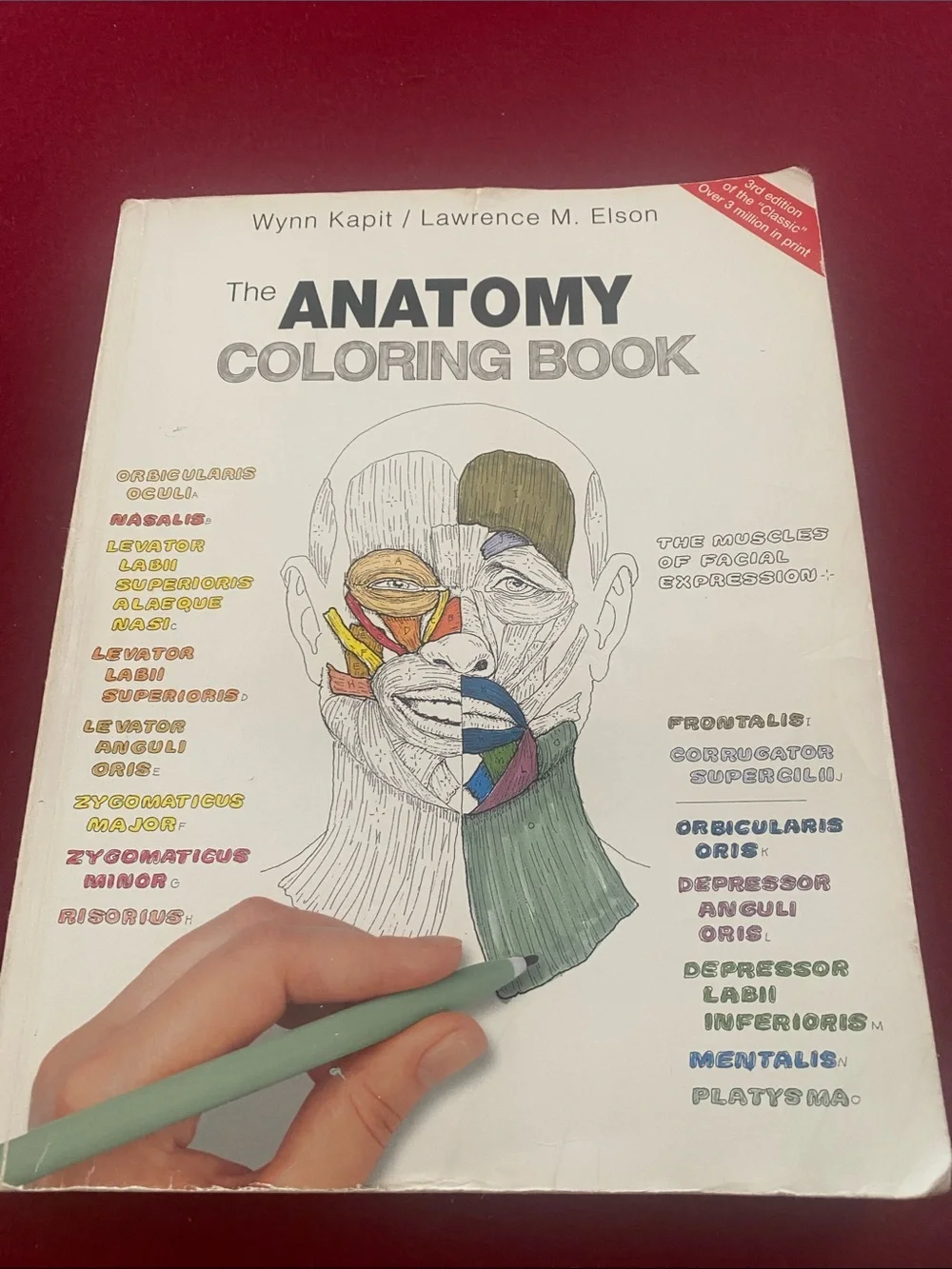 The Anatomy Coloring Book - Educational Anatomy Coloring (White)